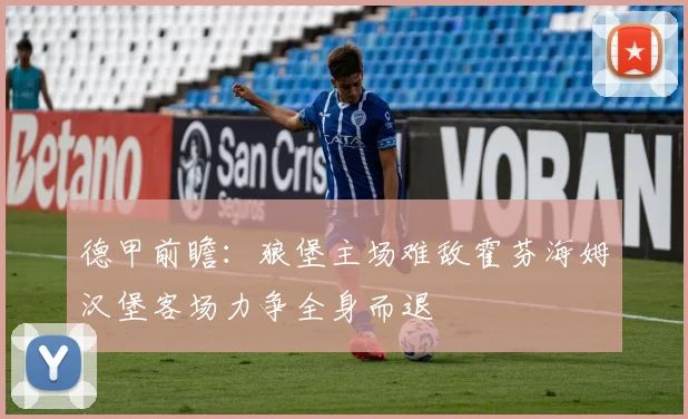 德甲前瞻：狼堡主场难敌霍芬海姆汉堡客场力争全身而退